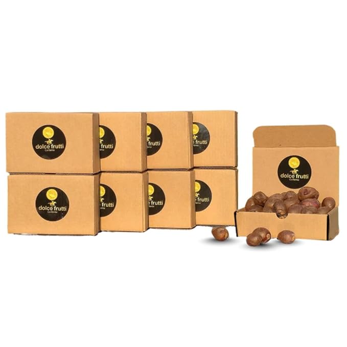 Dolce Frutti Sukkari Dates – Premium Soft &amp Naturally Sweet No Added Sugar 100% Organic &amp Flavorful High Fiber Healthy Snack for Kids and Adults. Perfect for Cooking Baking &amp Smoothie