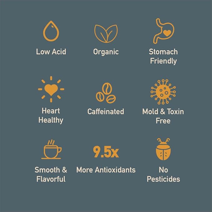 Healthy Bean Organic Ground Coffee Thrive Morning Blend - Low Acid Coffee Grounds for Sensitive Stomach - Medium Roast Blend USDA Organic High Antioxidants Smooth and Rich Flavor 11oz