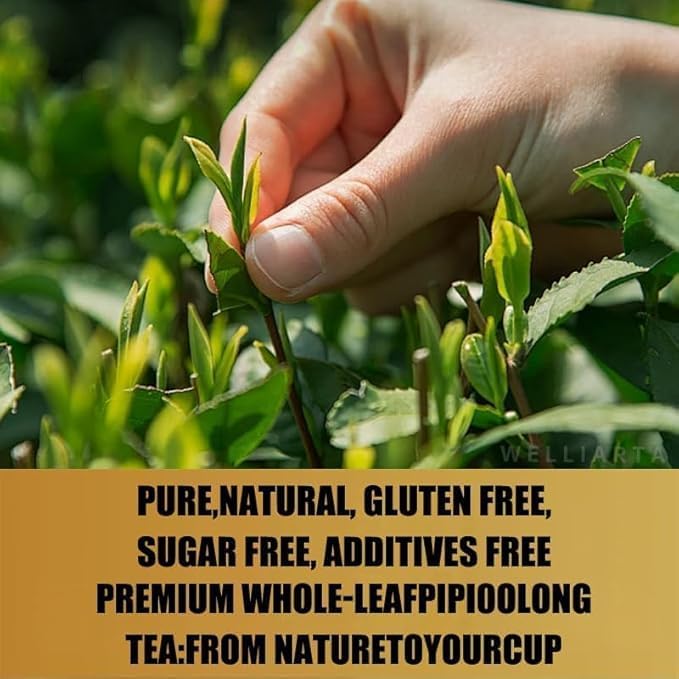 PipiTea Organic Oolong Tea Bags - Whole Leaf (20 bags) 4g Selected Tea Leaves - Helps lower cortisol levels relieve stress promote digestion and metabolism vegan non-GMO (B)