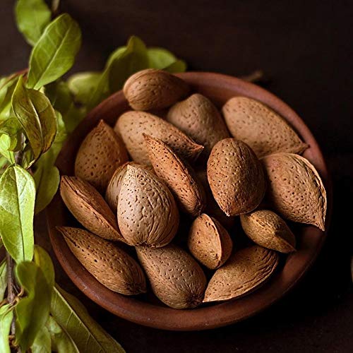 Anna and Sarah Almonds In Shell Raw Natural Whole Jumbo California Almonds in Resealable Bag 4 Lbs