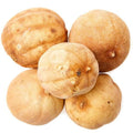 Sun-Kissed Dry Yellow Lemon Slices: A Zesty Burst of Flavor in Every Bite