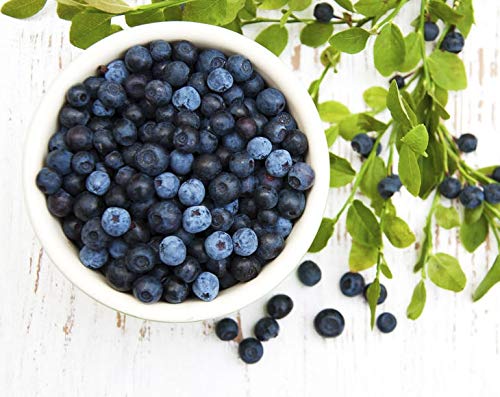 Food to Live Organic Dried Blueberries 1 Pound Non-GMO Kosher Vegan Unsulfured Bulk