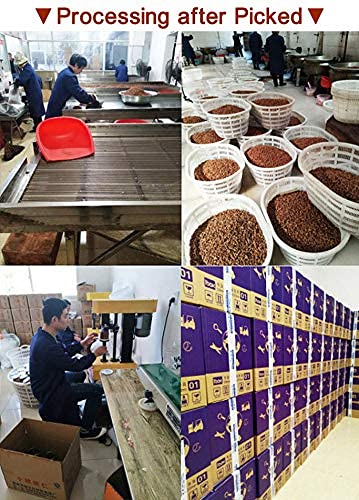 Chinese Peeled WalnutsFresh New Linan Mountain Walnut kernelsLinan Mountain Walnuts KernelsNet 240g/8.5oz. in 15 Small Packets 临安山核桃仁 (Salty)