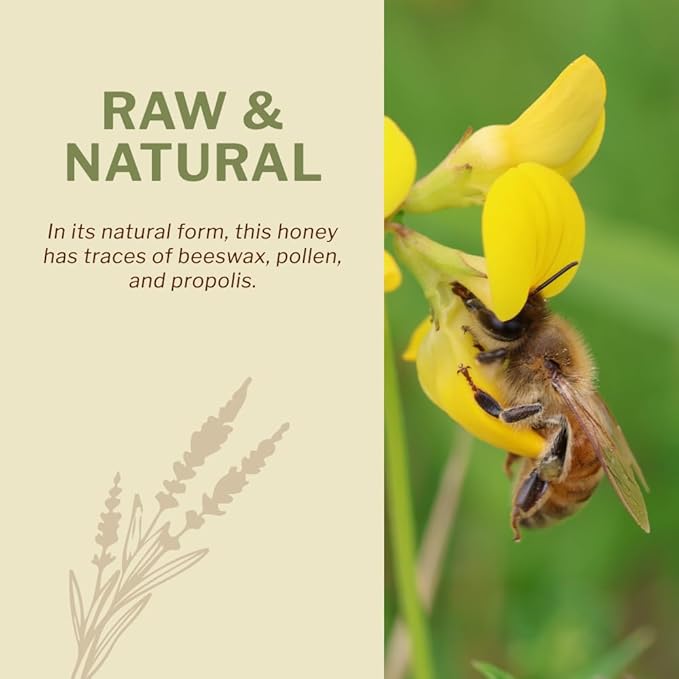 Oneroot 100% Canadian Wildflower Honey - 1.1 lbs Unheated &amp Creamed - Nutrient-Rich Natural Sweetener with Enzymes - Thick &amp Pure Raw Unfiltered Honey