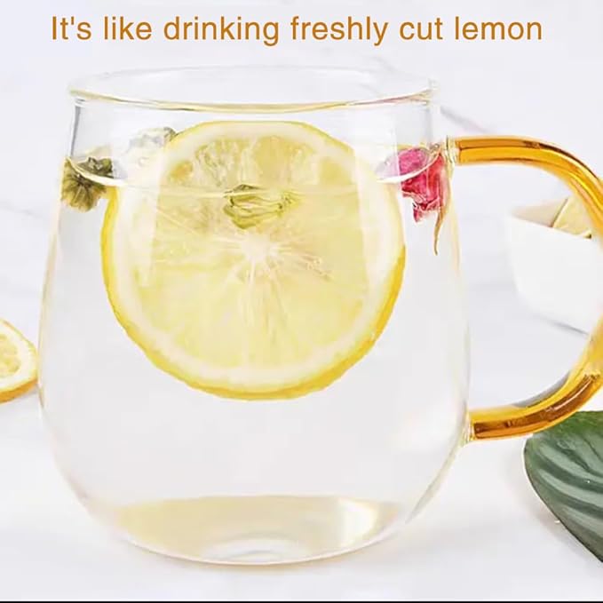 Preserved LemonDried Lemon Slices500g/17.6oz Individual Packs 100% Natural Premium QualityAdd HoneyFor Cocktails Garnishes/Drinks/Teas/Decor（About 80 pieces） (500g)