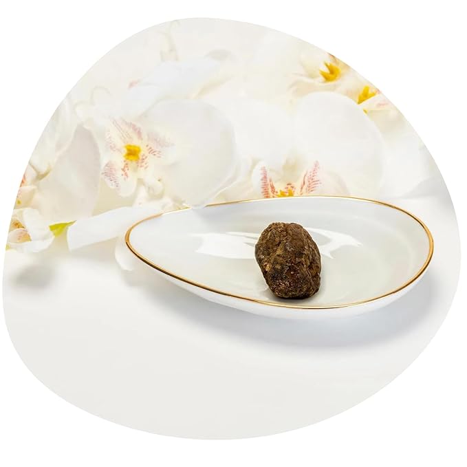 Share Original® cultured fermented Japanese apricot/plum (3-pc to taste) 30+months fermented Share Swiss Fermented