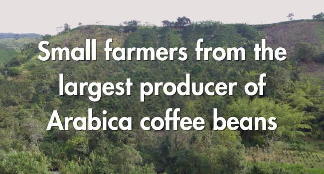 Café Grumpy Low Acid Decaf Coffee Pregnancy Safe Ground French Press Medium Roast Single Origin Premium Quality Gentle on Stomach