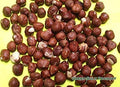 Raw Shelled Hazelnuts - Filberts (3 lb Filberts)