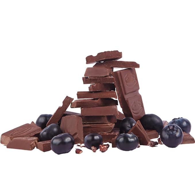 EXOTICCAO 8 Pack Blueberry Organic Dark Chocolate Bars|Cane Sugard|Gluten-Free Vegan Non GMODairy free Soy Free|70% Cacao|2.47 oz Each