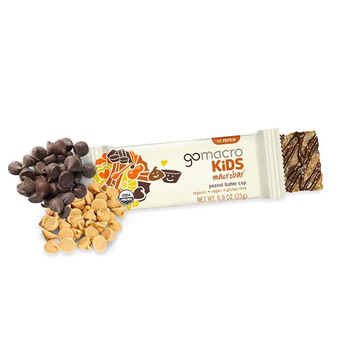 GoMacro MacroBar Organic Vegan Protein Bars - Maple Sea Salt &amp Oatmeal Chocolate Chip (2.3 Ounce Bars 12 Count) (Pack of 2)
