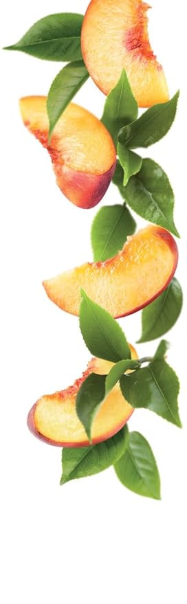 1883 Organic Peach Syrup for Drinks Made in France 1 Liter Glass Bottle