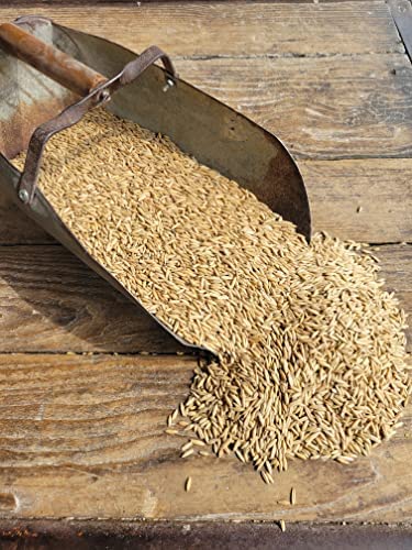 Ernst Grain's Oats Feed Grade 46 lb