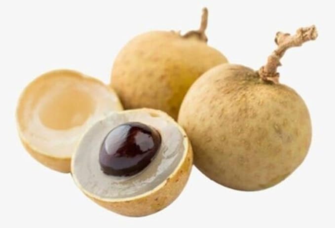 Golden dried Longan From Thailand 100% Sweet Fruit Natural