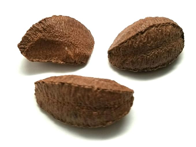 Brazil Nuts In shell Polished Large 32 oz. Raw Brazil Origin KETO Vegan Non-GMO And Natural Whole Superior High-Protein &amp Easy to Crack Resealable Bags of 2 lbs. by Presto Sales