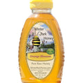 Winter Park Honey - Raw Orange Blossom Honey - (16oz)