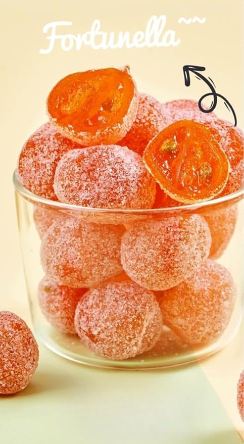 Ready To Eat Dried Kumquat Preserved Fruit Golden Kumquat Sour Sweet Kumquat Rock Sugar Kumquat 500g/can Healthy and Nutritious Dried Fruit Delicious Kumquat Dim Sum Leisure Snacks (500g)