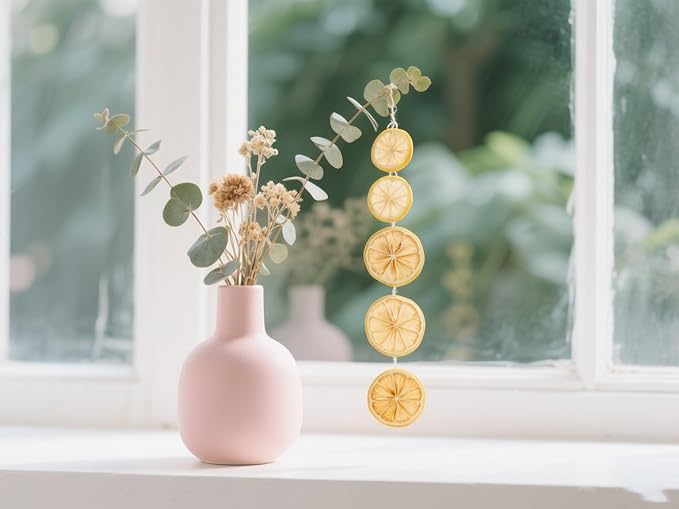 Preserved LemonDried Lemon Slices500g/17.6oz Individual Packs 100% Natural Premium QualityAdd HoneyFor Cocktails Garnishes/Drinks/Teas/Decor（About 80 pieces） (500g)