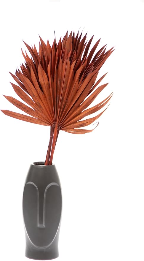 Decorative Dried Palm Sun Spears l Dried Palm Leaves l Natural Palm Fan l Dried Flowers Arrangement for Home Decor (16-19in Tall 4-5 Stems/Bunch) (Cooper Color 10'' Wide)