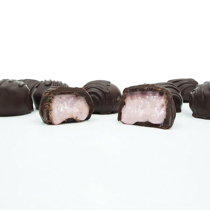 Philadelphia Candies Homemade Blueberry Creams Dark Chocolate 1 Pound Gift Box