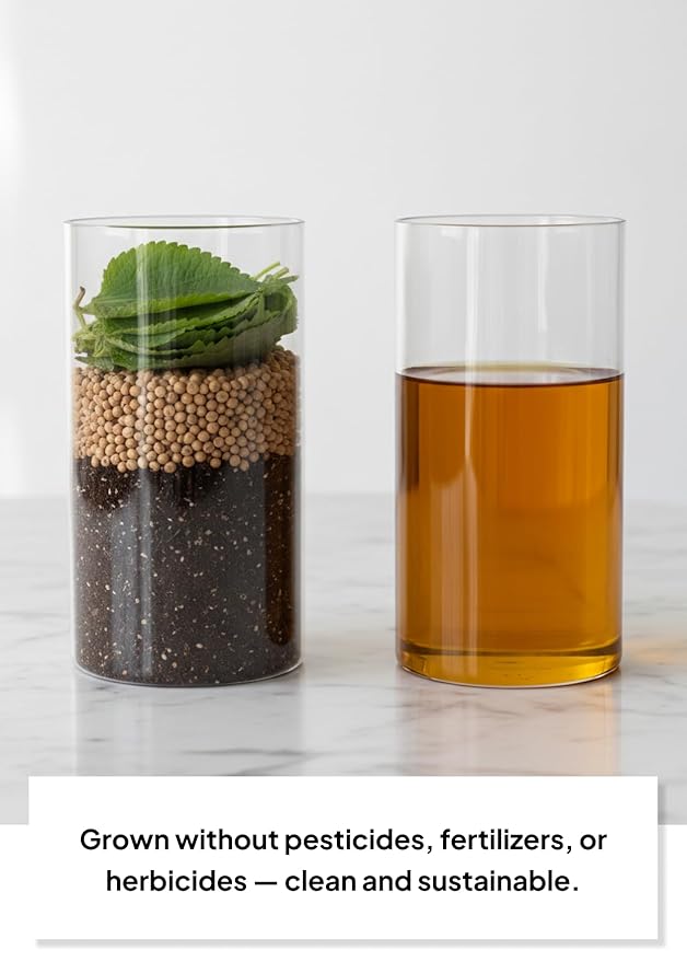 Korean Food Nutty Perilla Oil 6.1 fl oz (180 ml) – 100% Korean Perilla Seeds Lightly Roasted for Rich Toasted Flavor