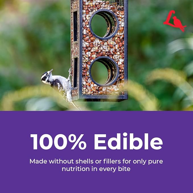 Lyric Delite Wild Bird Seed for Outside Feeders - No Waste Bird Food Nuts &amp Seeds Mix Attracts Buntings Chickadees &amp Finches 10 lb (Pack of 2-5 lb Bags)