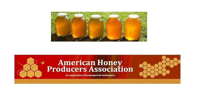 Wildflower Honey 1 Gallon Jug (12lbs)