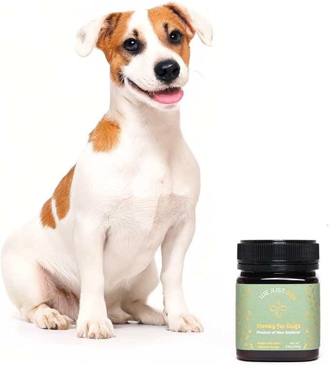 Manuka Honey for Dogs 500g/17.6oz – Premium New Zealand Dog Food Topper &amp Natural Treat | Raw Honey for Dogs for Immune Skin &amp Gut Support | Traceable Superfood – MGO 400+