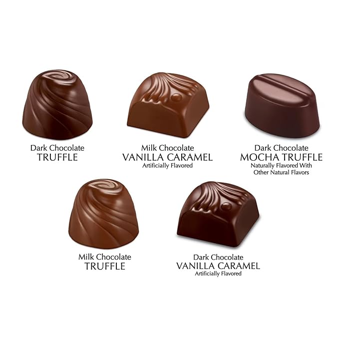 Pot of Gold Valentine's Day Chocolate Assortment Premium Milk &amp Dark Chocolate Box Red Ribbon Heart Gift Box 14.4 oz