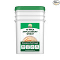 Valley Food Storage Apple Creamy Wheat | 100 Serving Emergency Breakfast Food Supply 10-Bag Bucket | 25 Year Shelf Life | Survival Meals for Long Term Food Storage Camping &amp Prepper Supplies