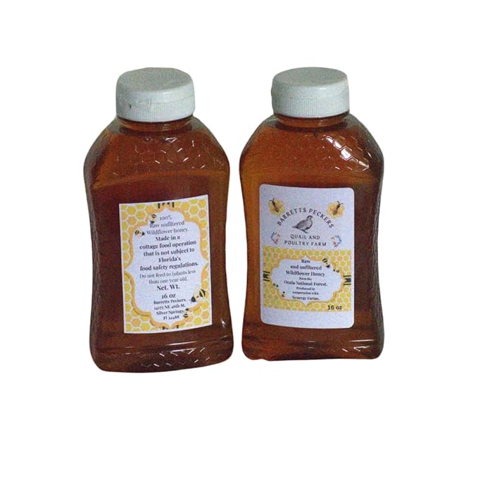 Raw Wildflower Honey Unfiltered from Ocala National Forest In Florida (32 ounces)