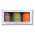 Cloister Honey Trios - Fan Favorite (3 X 3 Oz) | Hand Crafted | Raw Artisan Honey | 100% Pure Raw &amp Unfiltered | All Natural | Made In Usa |