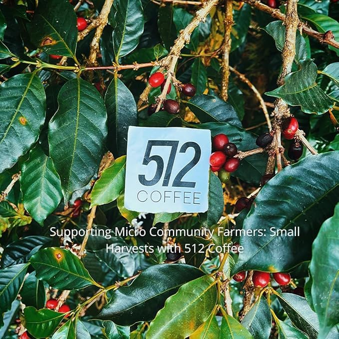 512 Coffee Ethiopia Yirgacheffe Light Roast Whole Bean – Specialty Single Origin with Tasting Notes of blueberry juicy fruit and a natural honey sweetness – Fresh Roasted for Filter Brewing (12 Ounc