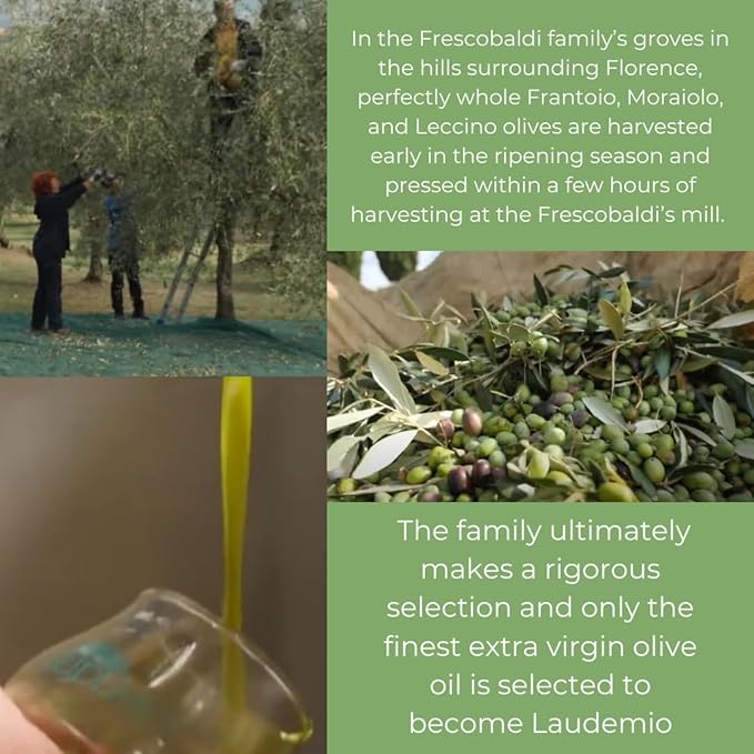 FRESCOBALDI Laudemio Extra Virgin Olive Oil 16.9 FL Oz 500ml Premium Award Winning Product of Tuscany Italy Fruity &amp Peppery Flavor Smooth &amp Robust Low Acidity Rich in Polyphenols