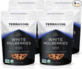 Terrasoul Superfoods Organic Sun-dried White Mulberries 4 Lbs (Pack of 4) Sweet Superfood Snacking Smoothie Booster and Nutrient-Packed Yogurt Topping