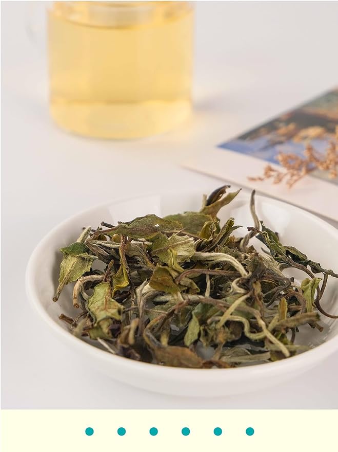 GLDNT Organic White Tea Premium Organic White Tea Loose leaf Mild &amp Smooth Taste Low Caffeine 7 Ounce
