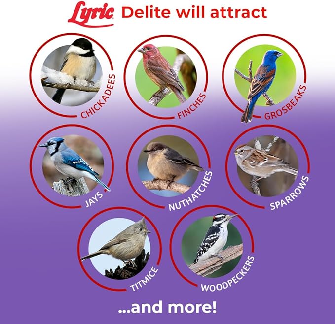 Lyric Delite Wild Bird Seed for Outside Feeders - No Waste Bird Food Nuts &amp Seeds Mix Attracts Buntings Chickadees &amp Finches 10 lb (Pack of 2-5 lb Bags)