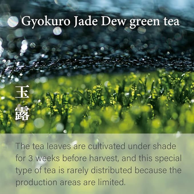 Gyokuro Green Tea -Imperial Green Tea from JAPAN｜Japanese Tea KIMIKURA (1.Premium Gyokuro 70g/2.4oz -Yame)