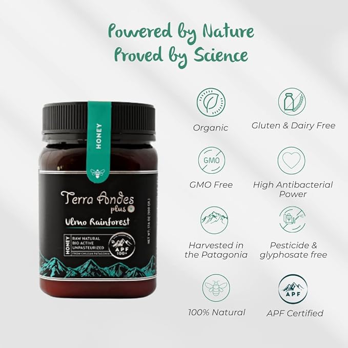 Ulmo Rainforest Raw Honey by TERRA ANDES PLUS | APF 100+ Pure Honey 17.6 oz