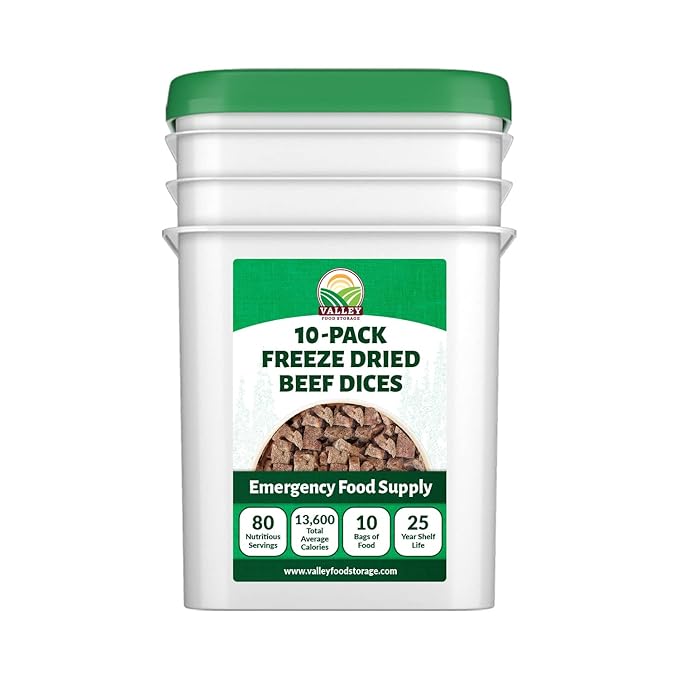 Freeze Dried Beef Dices 10-Bag Bucket 85 Oz | Premium Emergency Food Supply 25 Year Shelf Life | Prepper Supplies Survival Food Off Grid Living Supplies | Valley Food Storage Packaged in USA
