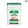Valley Food Storage Freeze Dried Strawberry Creamy Wheat | 10-Bag Bucket 100 Servings | Premium Emergency Food Supply 25 Year Shelf Life | Survival Breakfast Food for Prepper Storage &amp Camping