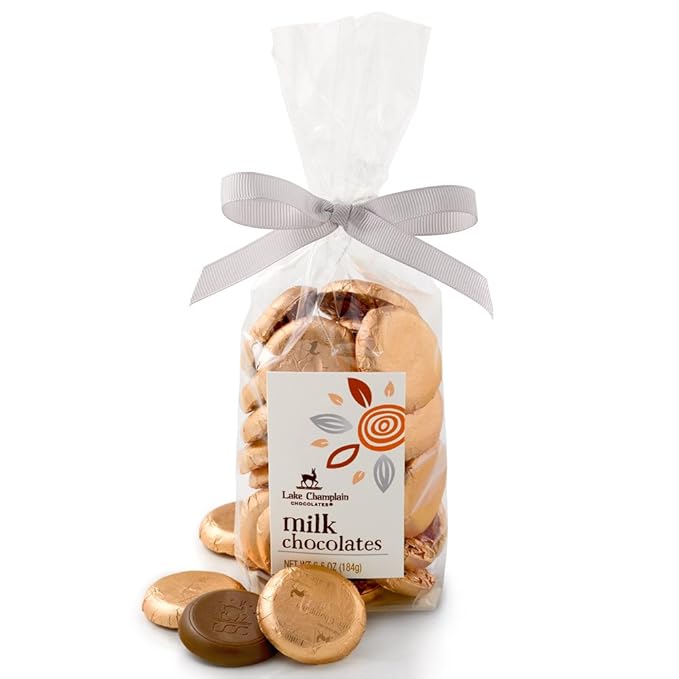 LAKE CHAMPLAIN CHOCOLATES 26 Piece Milk Chocolate Coins Gift Bag 6.5 OZ