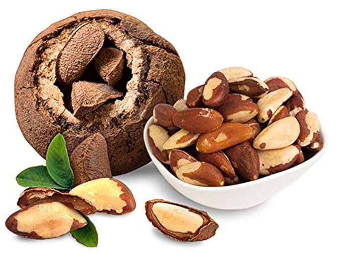 Premium Wild Harvested Raw Brazil Nuts 1 lb (16oz) – High Selenium Batch Tested Peanut &amp Gluten Free Non-GMO Kosher Resealable Bag