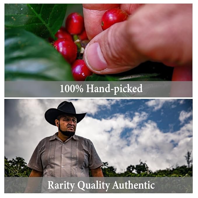 Hawaiian Kona Coffee Whole Beans100% Kona Single OriginExtra Fancy Top Grade Medium Roast 100% Hand Picked from Our Coffee Estate in Hawaii(La Fantaisie8 oz)