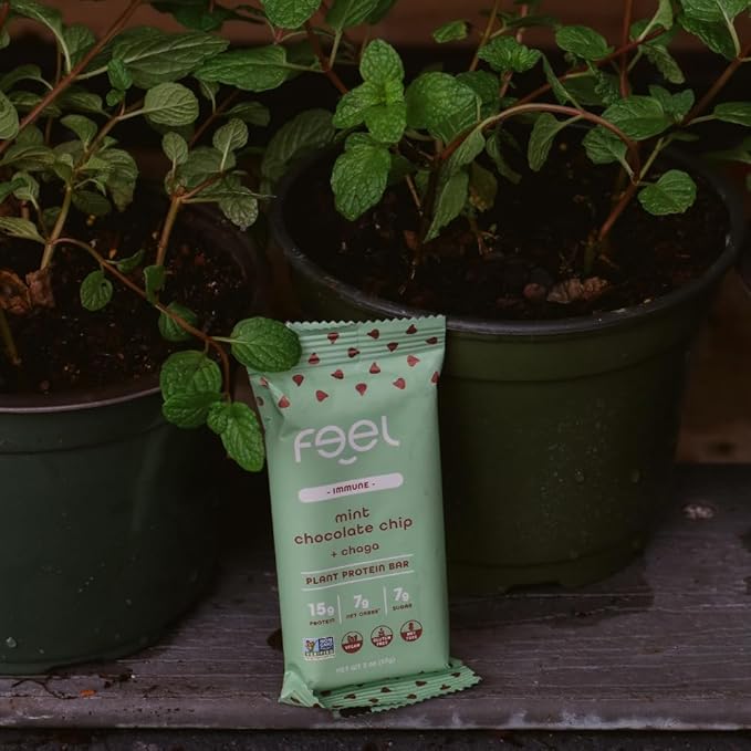 Feel Vegan Protein Bars Mint Chocolate Chip Keto Gluten Free Organic Chaga Mushroom 15g Plant Protein Low Carb High Protein Dairy Free Low Sugar Grain Free Nut Free Soy Free