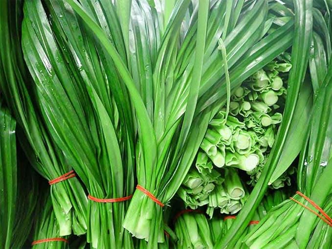 Pandan Fragrant Pancake -Light and Fluffy. No Preservatives Low Sugar. Good for Breakfast and for Any occassion. A tropical floral aroma dancing with slight note of Vanilla