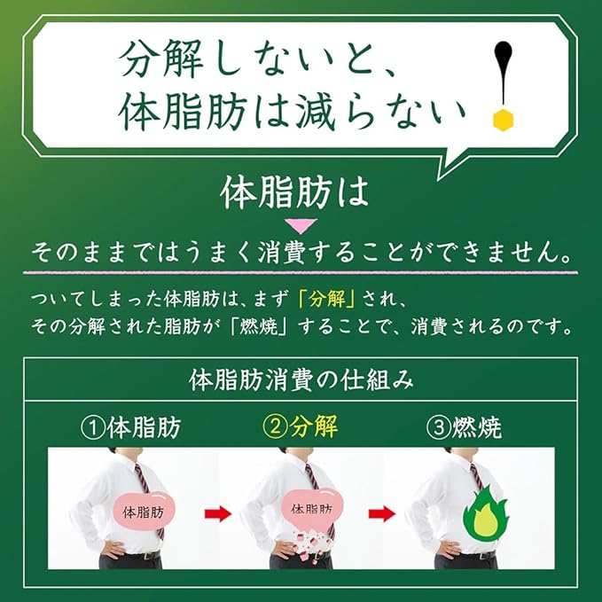 Sun tory Iyemon Tokucha Premium Green Tea FOSHU Beverages 500ml (Pack of 10) No Sugar Added Japanese Unsweetened Gyokuro Green Tea from Kyoto Fukuju-en Iyemon MADE IN JAPAN Limited Stock