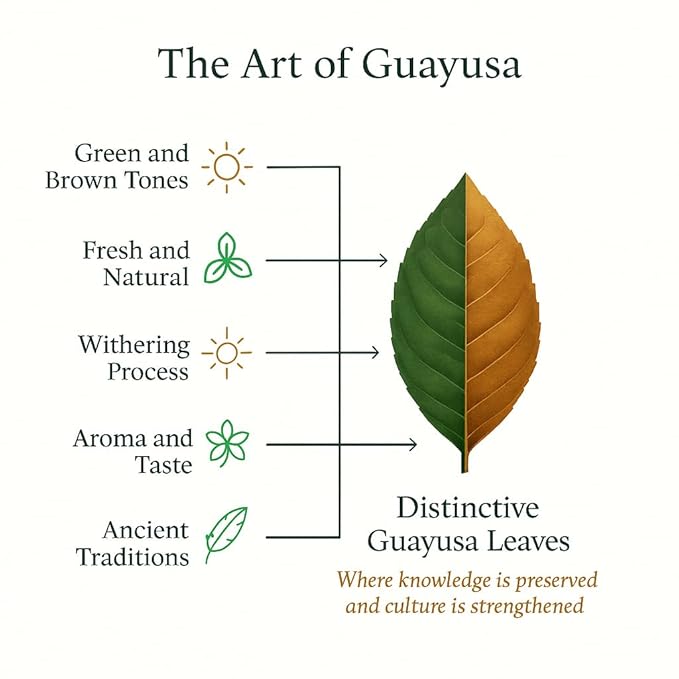 GUAYUSA TEA BAGS by PACHA | Naturally High in Antioxidants L-Theanine &amp Theobromine | Sustained Energy Herbal Tea | Alternative to Yerba Mate Coffee Black and Green Tea. (50 Count Guayusa)