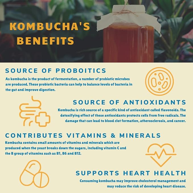 Bambucha Kombucha Guava Punch 12 Pack Case | Chef Crafted Flavor 100% Raw Kombucha Tea Drink | Organic Vegan Gluten Free Non GMO Probiotic (12 Fl Oz Cans)