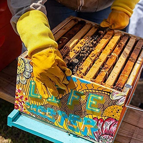 Apiterra - Raw Honey Bulk 8 lbs Bucket Unfiltered Unpasteurized 100% Pure and Natural Wildflower Raw Honey