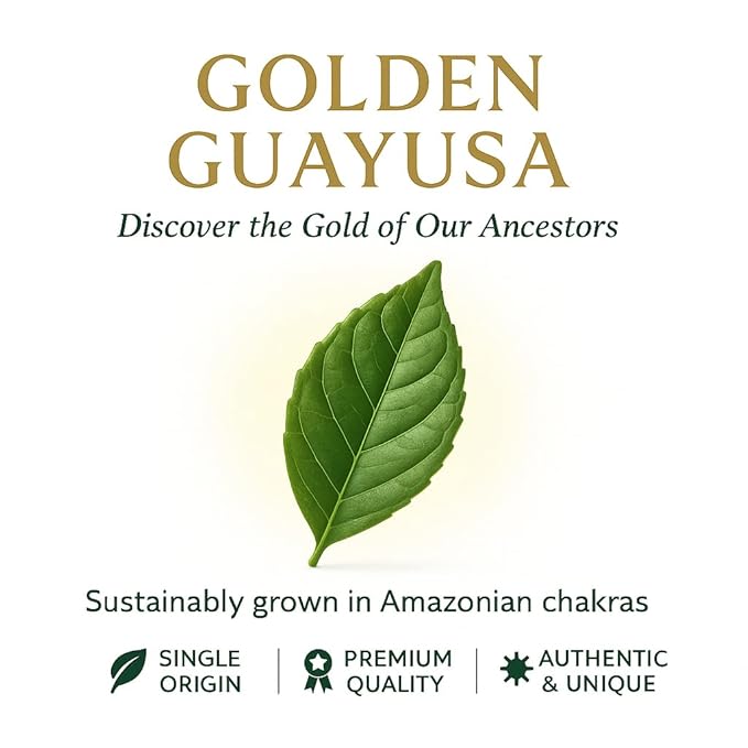 Guayusa Loose Leaf Tea by PACHA | 66mg Caffeine | Naturally High in Antioxidants L-Theanine &amp Theobromine | Sustained Energy Herbal Tea (1 Pound (Pack of 1) Golden Guayusa)
